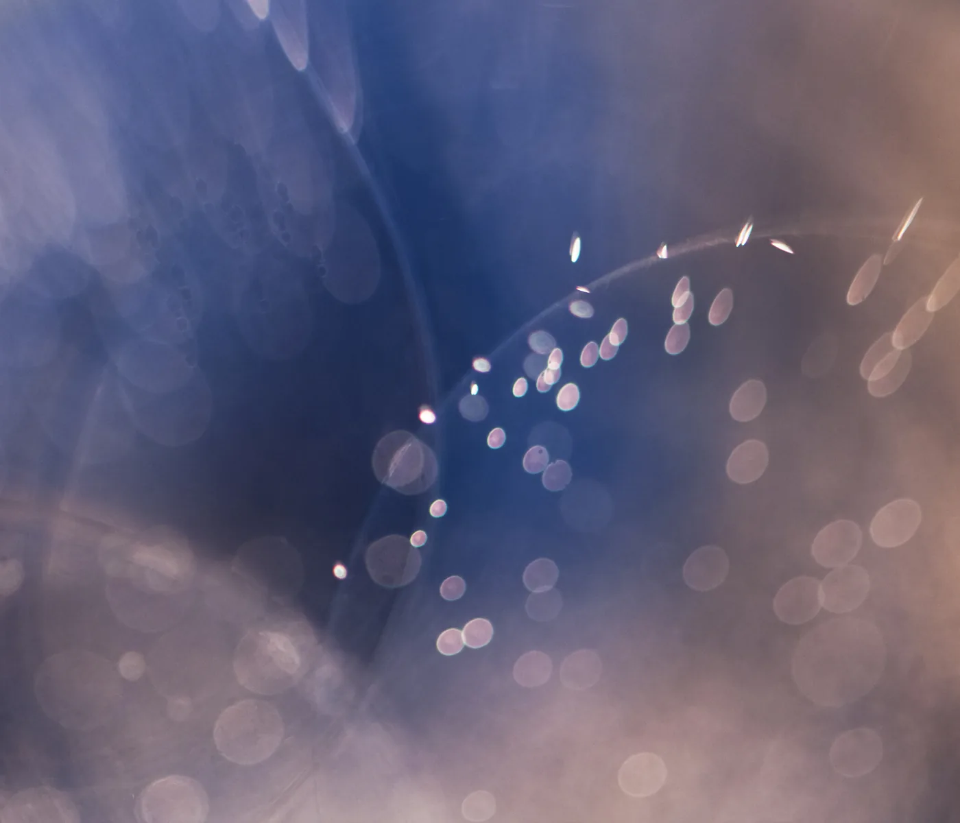 Soft blue-and-amber bokeh — abstract macro of light through bubbles